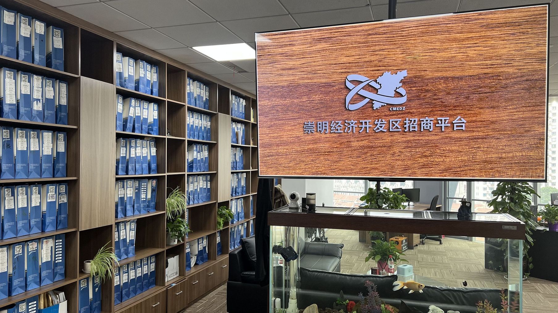 有限公司章程中关于家族信托持股条款设计税务规划