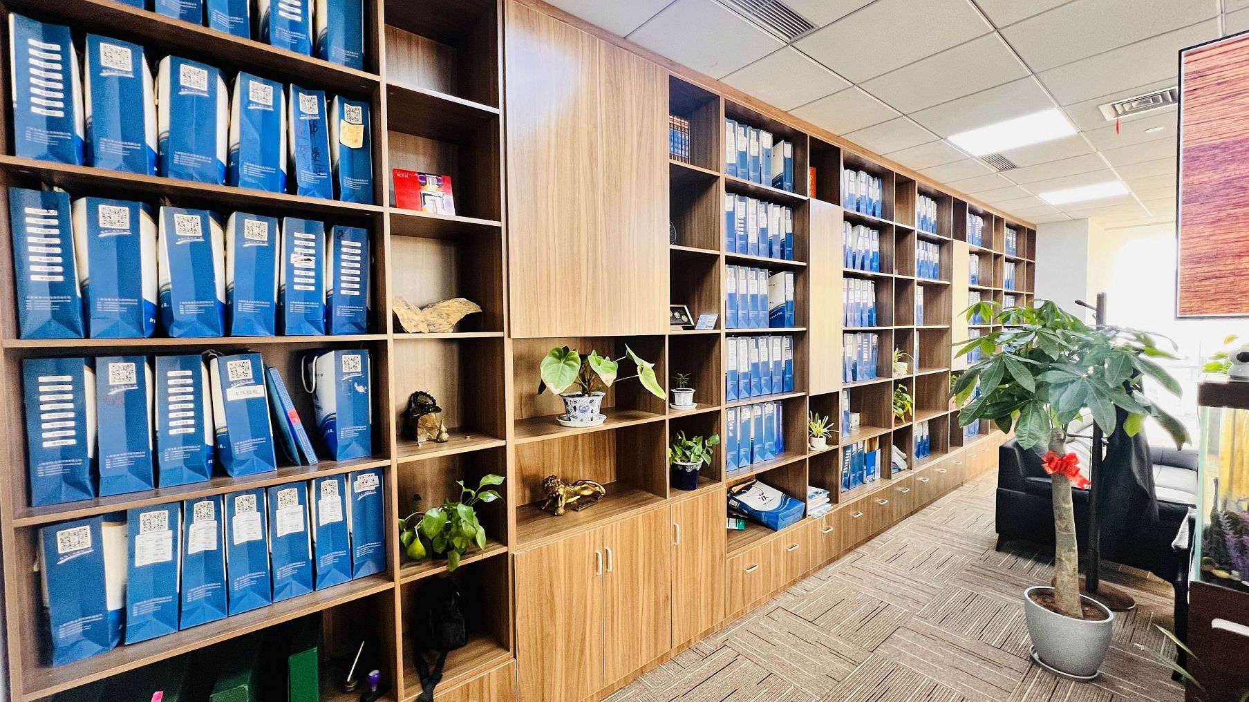 集团公司名称缩写注册的商标保护策略